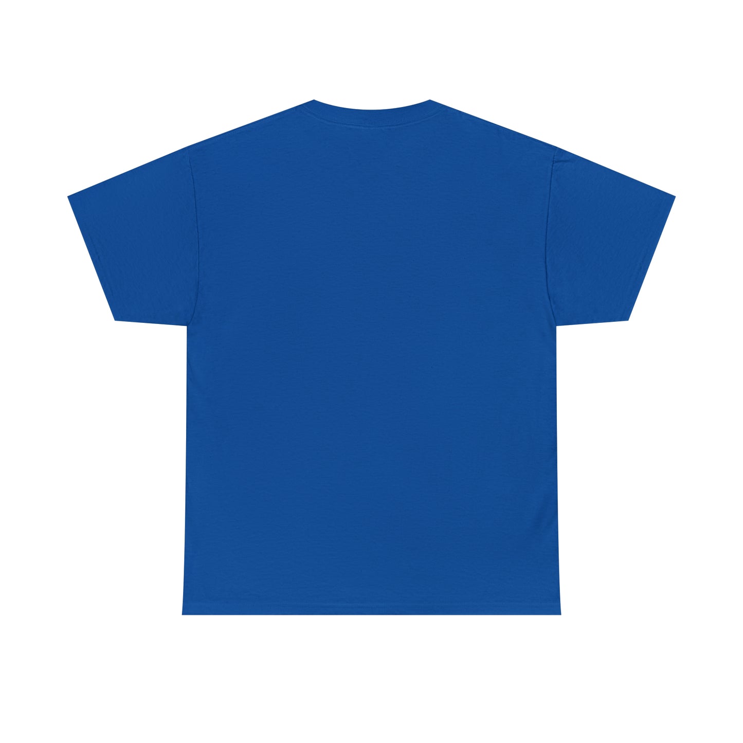 'Conspiracy Theories...Spoiler Alert' T-Shirt (8 colors)