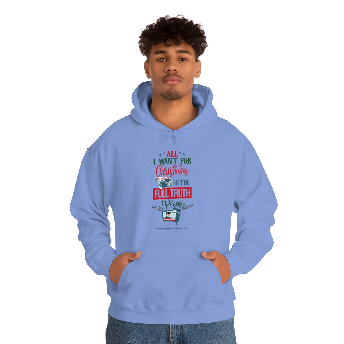 'All I Want for Christmas is the Full Truth, Please' Unisex Hooded Sweatshirt (8 colors)