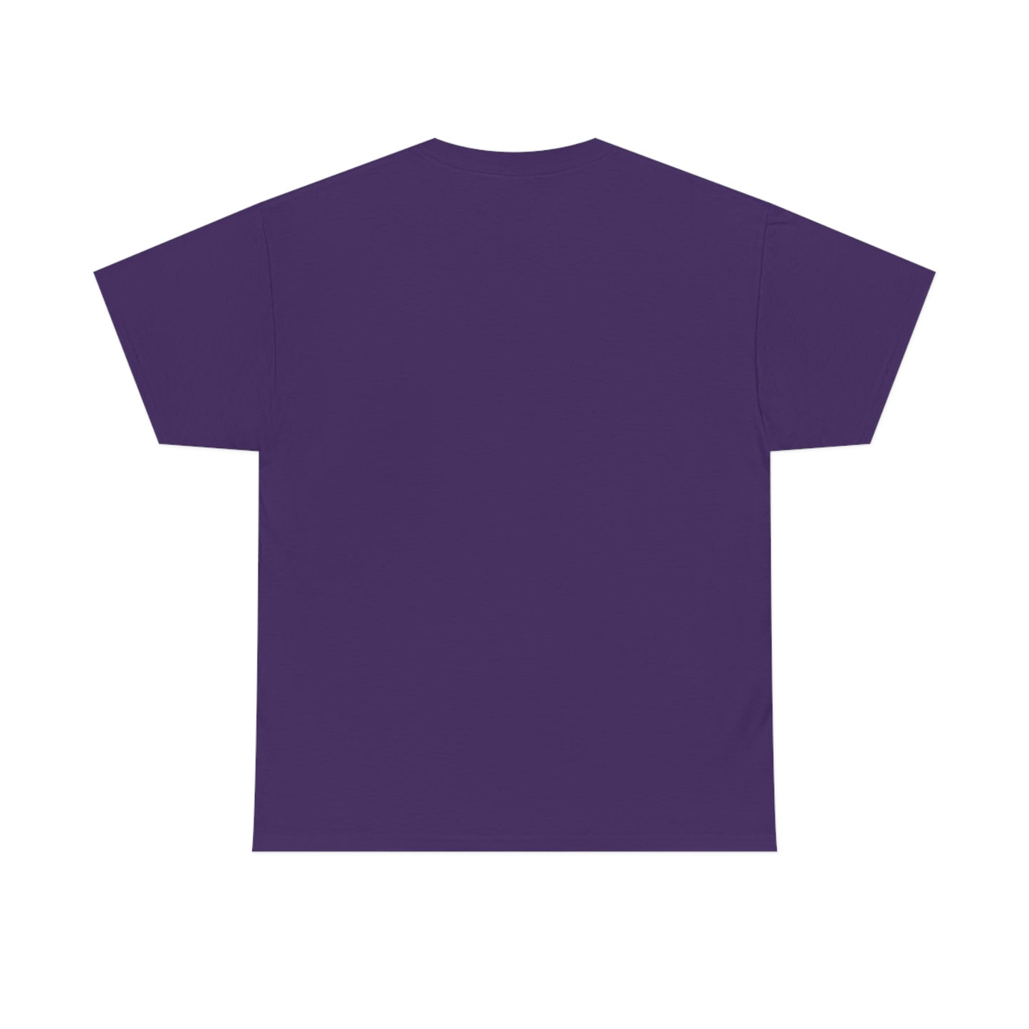 'Conspiracy Theories...Came True' T-Shirt (8 colors)